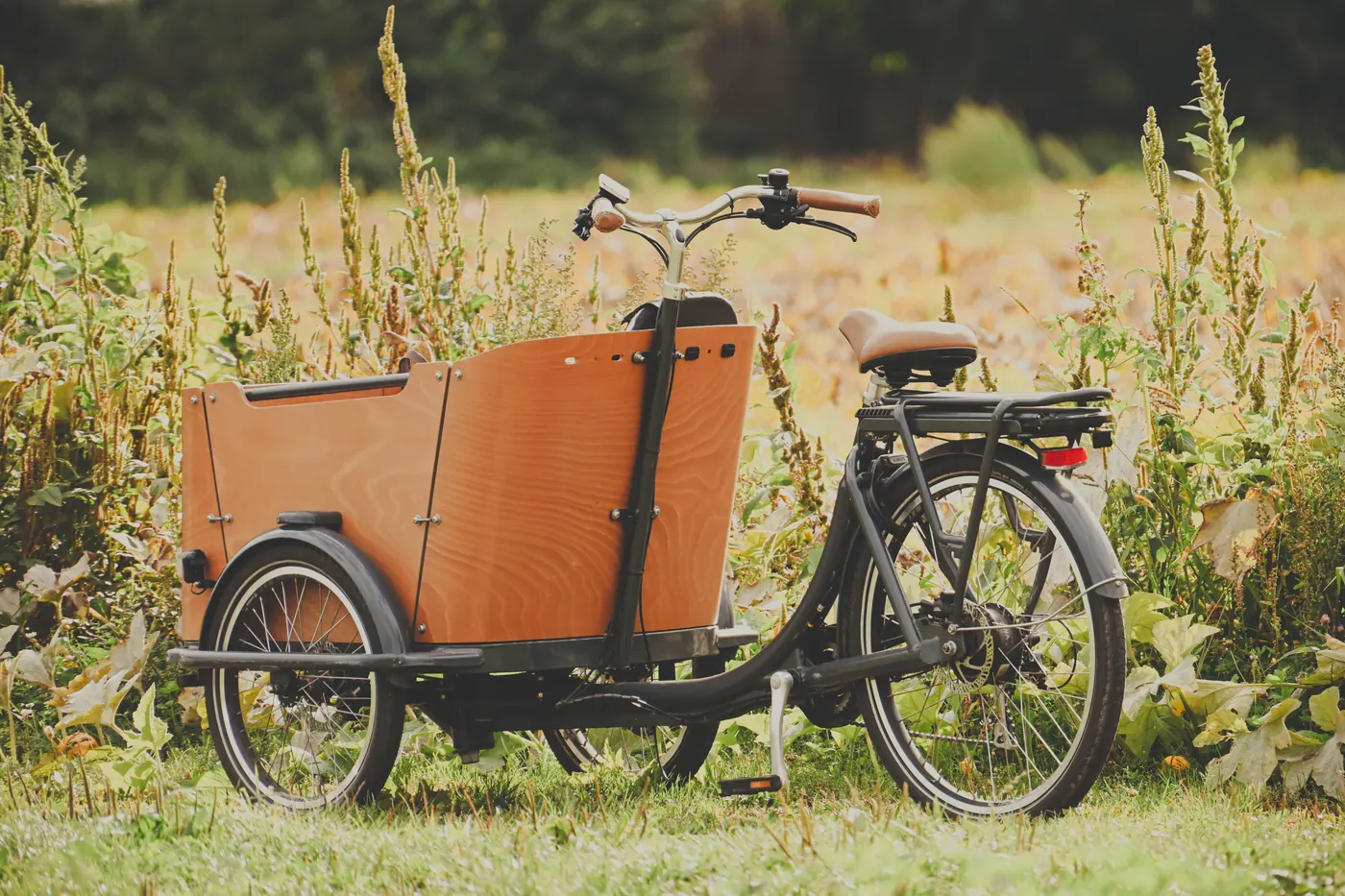 Ein dreirädriges Lastenrad mit orangefarbener Holz-Ladebox, allein geparkt auf einer sonnigen Wildblumenwiese, keine Personen sichtbar und keine lesbare Schrift oder Logos