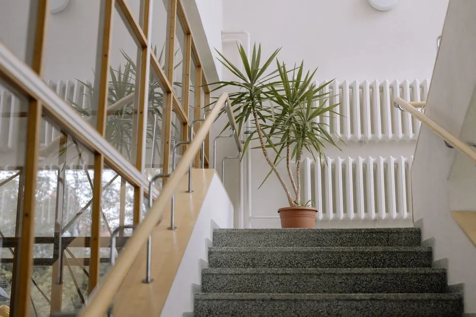 Ahşap tırabzanlı, taş basamaklı, beyaz radyatörlü ve saksıda bir bitkinin bulunduğu, kimsenin görünmediği aydınlık, modern bir apartman merdiven sahanlığı