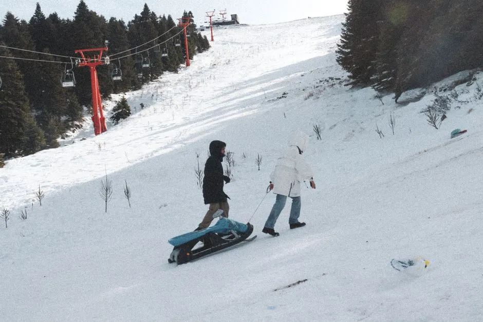Zwei Personen von hinten gesehen, die einen Holzschlitten einen schneebedeckten Hang zwischen Kiefern hinaufziehen, im Hintergrund ein roter Skilift, Gesichter nicht sichtbar