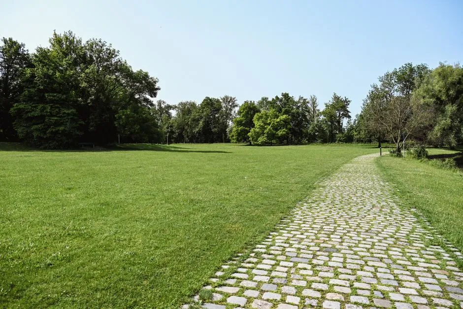 Eine weite, offene grüne Wiese, umgeben von hohen Bäumen, durchzogen von einem gepflasterten Fußweg, weiches Tageslicht, keine Personen oder Beschilderung sichtbar