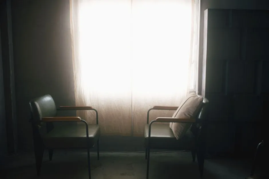 Two empty vintage armchairs facing each other in a dim, quiet room lit by a bright curtained window, no people or readable text visible