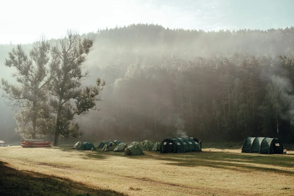 A row of green group tents pitched in a grassy clearing at the edge of a misty forest in early morning light, no people visible