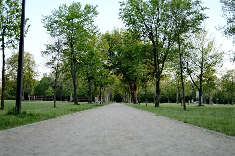 Un camino de grava en un parque bordeado de árboles maduros y césped abierto a ambos lados, con un par de figuras distantes y no identificables caminando cerca del extremo lejano