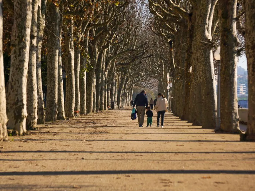 A tree-lined promenade with adults and a small child walking together in the distance, seen from behind, no faces visible