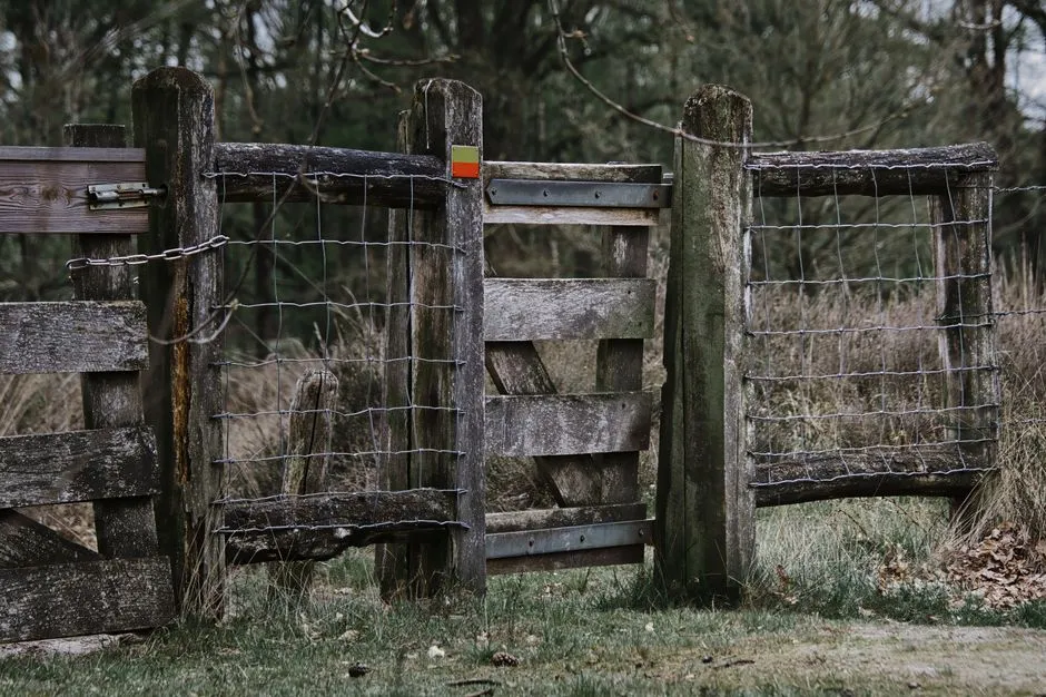 Ein verwittertes Holztor mit Drahtzaun, verriegelt über einem Weg in ein bewaldetes Feld, keine Menschen oder lesbaren Schilder sichtbar