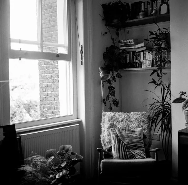 A cozy reading nook with an empty armchair, a window, houseplants, and a bookshelf, no people present