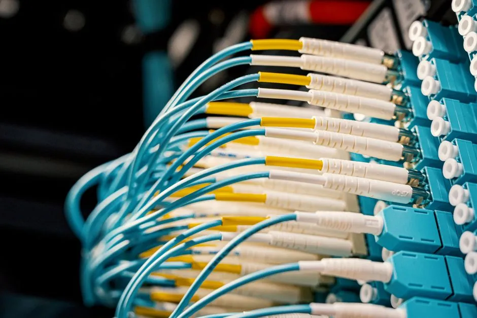 Bir ağ dağıtım paneline takılı mavi ve sarı fiber optik yama kablolarının yakın çekimi